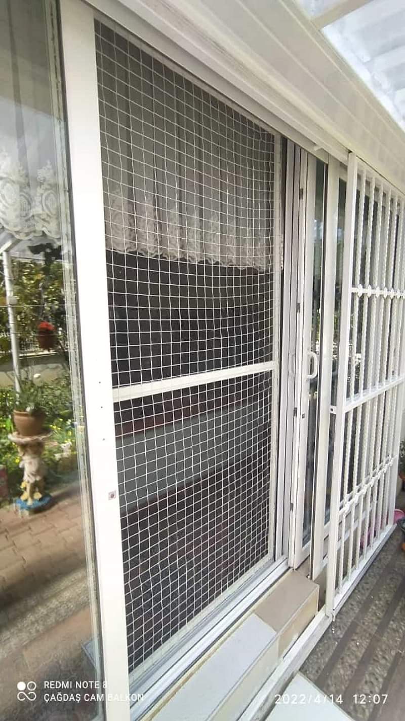 Bakı Kedi Sinekliği